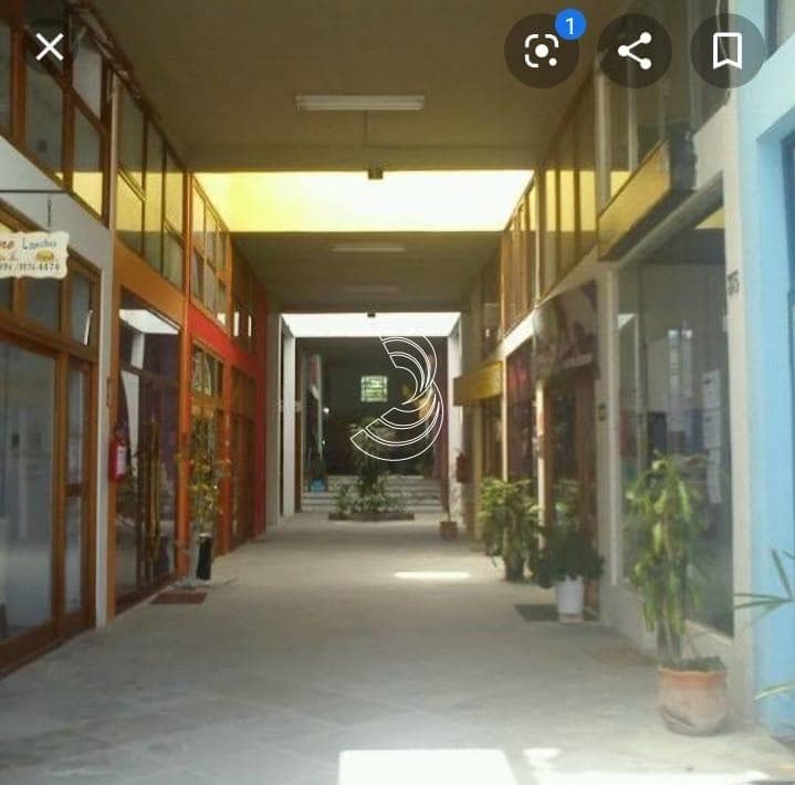 Foto do anúncio número 3