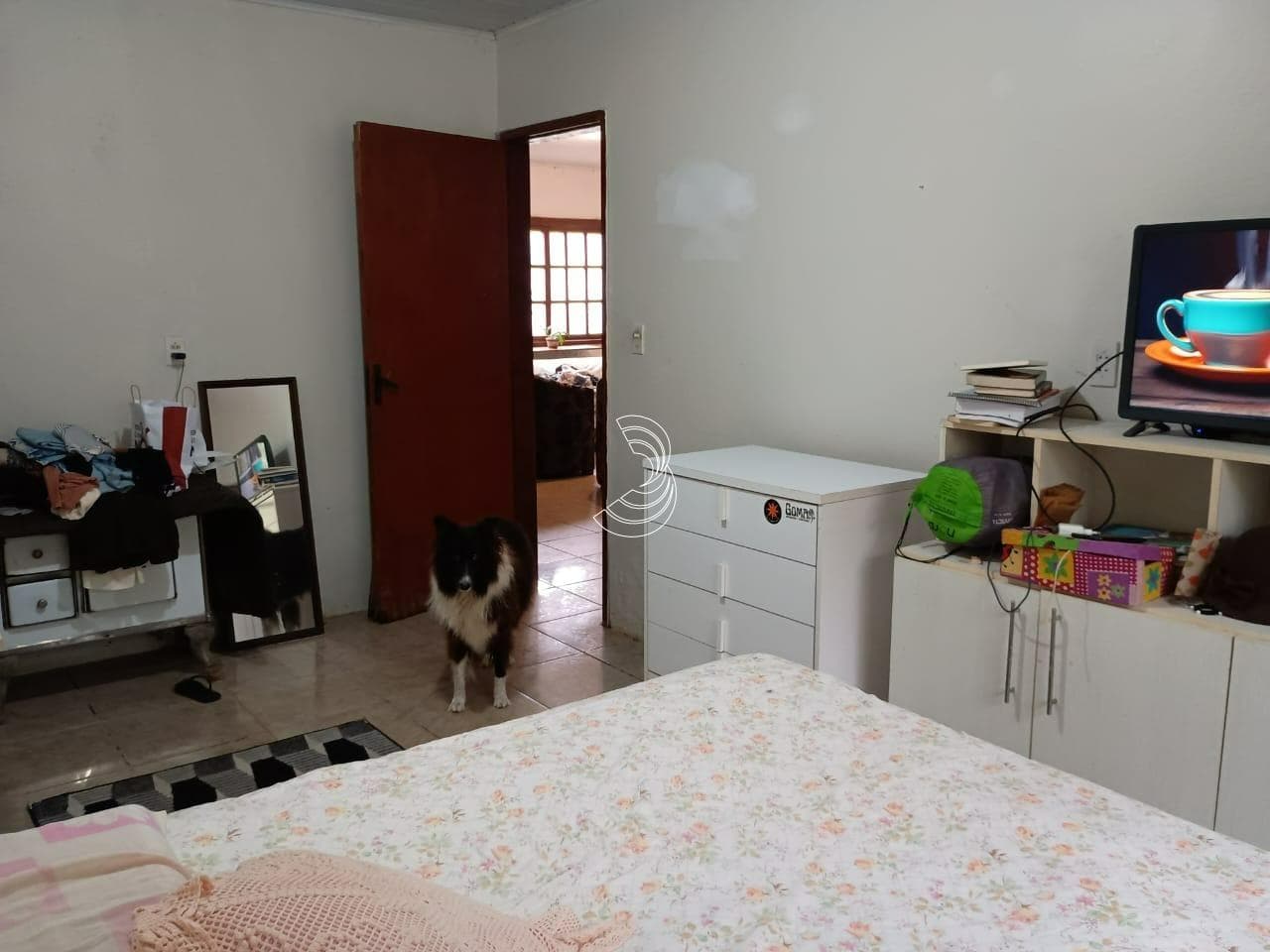 Foto do anúncio número 4
