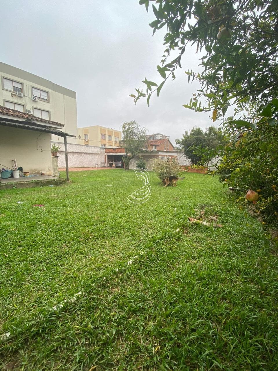 Foto do anúncio número 4