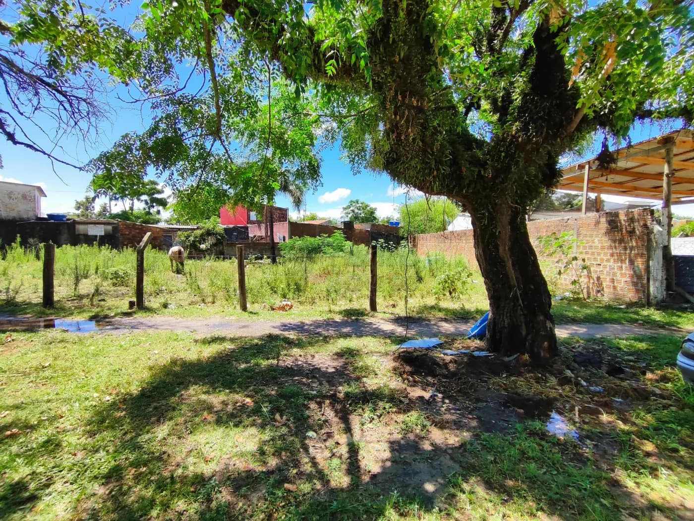 Foto principal do anúncio