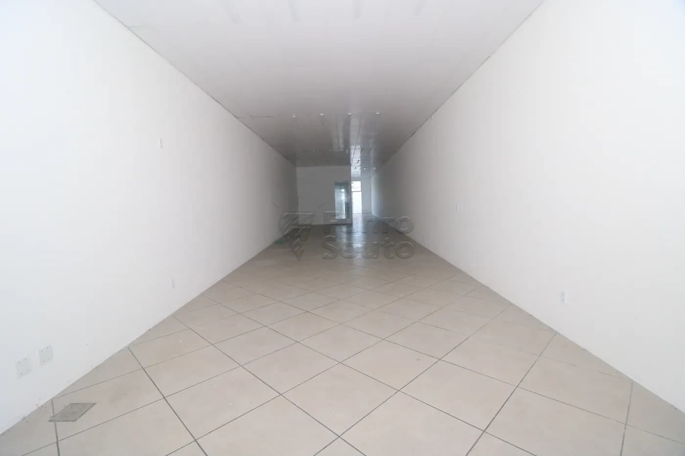 t636hi-pelotas-comercial-predio-areal-15-04-2026_01-04-58-69df0e6a3a492.webp