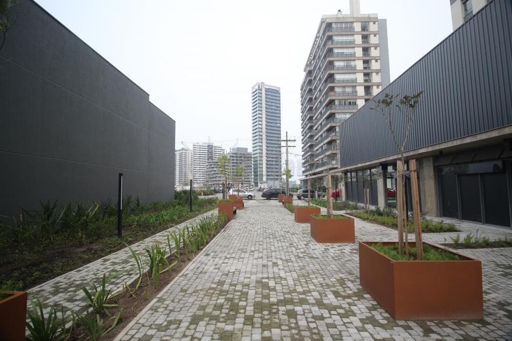 ta8ypw-pelotas-sao-goncalo-edificio-vanguarda-10-09-2024_23-56-16-9.jpg