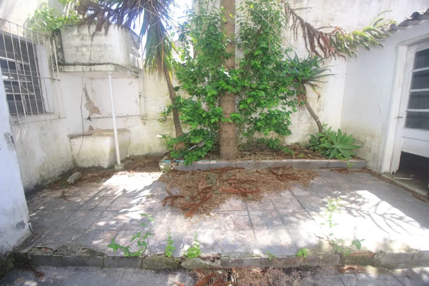 ua6yum-pelotas-casa-padrao-centro-22-10-2025_11-40-30-30.webp