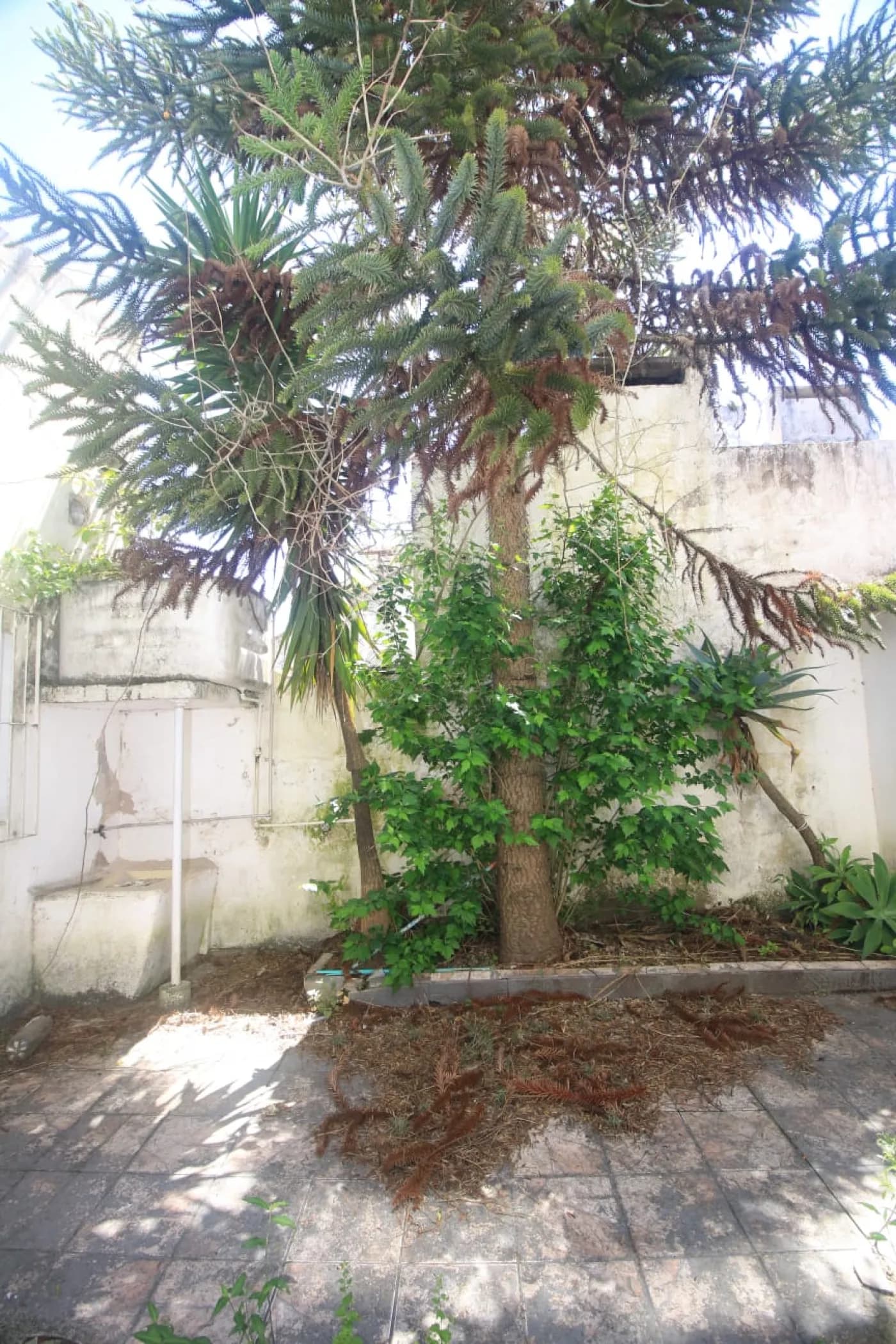 ucnnzf-pelotas-casa-padrao-centro-22-10-2025_11-40-31-31.webp