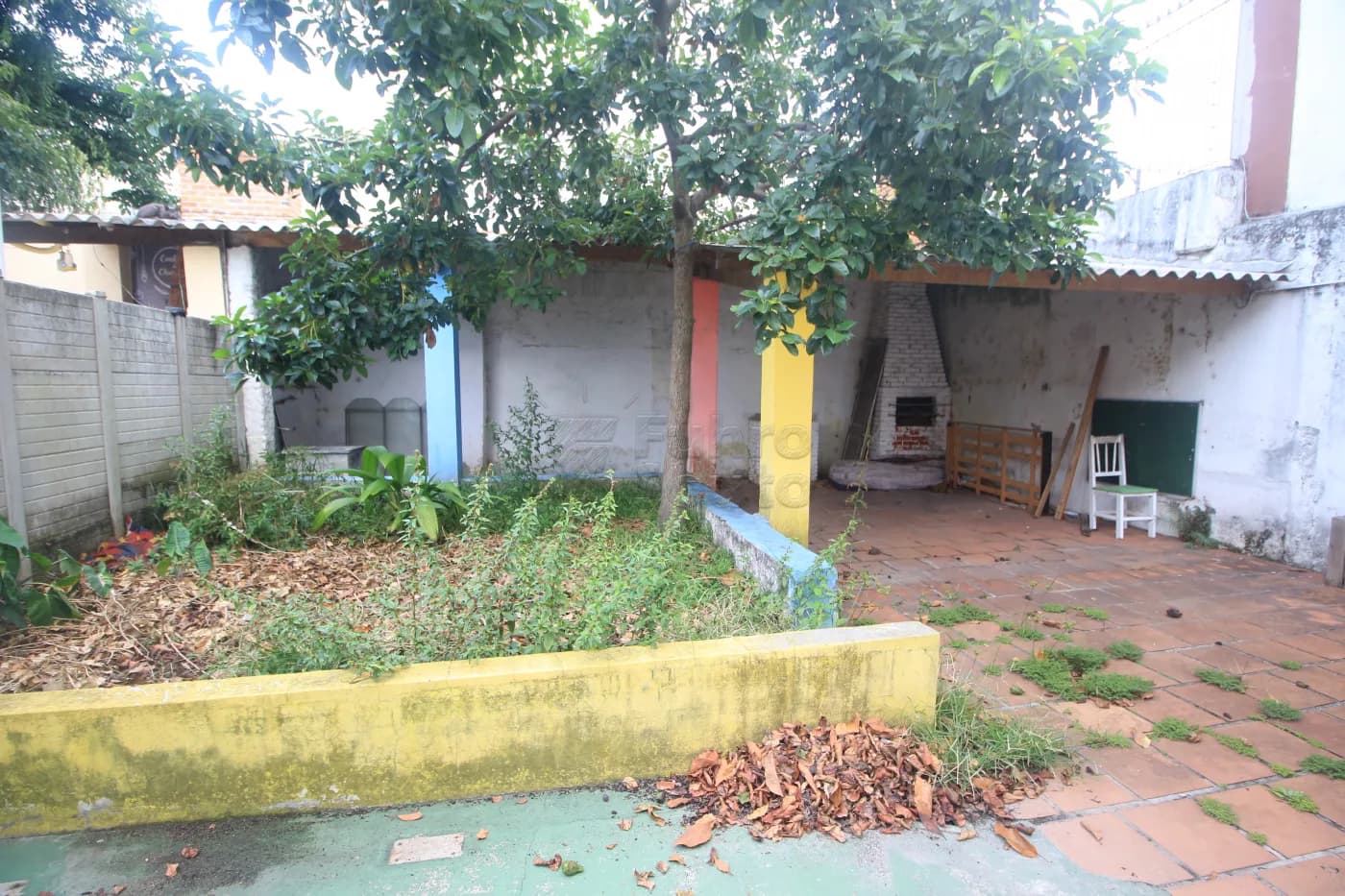 v3wonf-pelotas-casa-padrao-centro-22-01-2025_00-24-53-45.webp