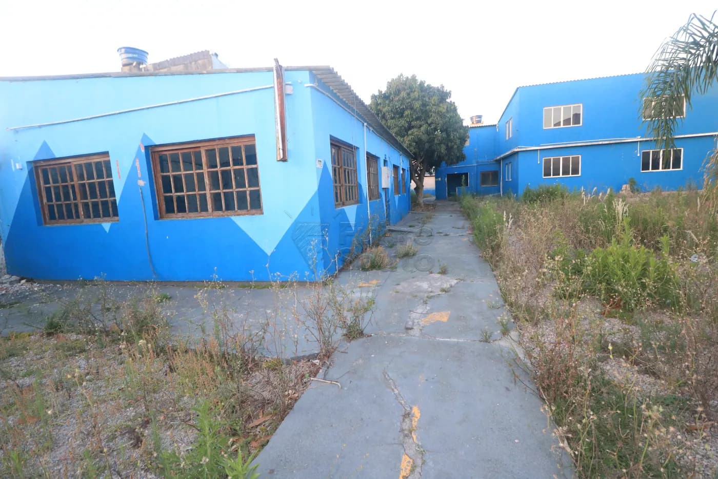 vhst8b-pelotas-comercial-casa-fragata-03-12-2025_08-10-36-16.webp