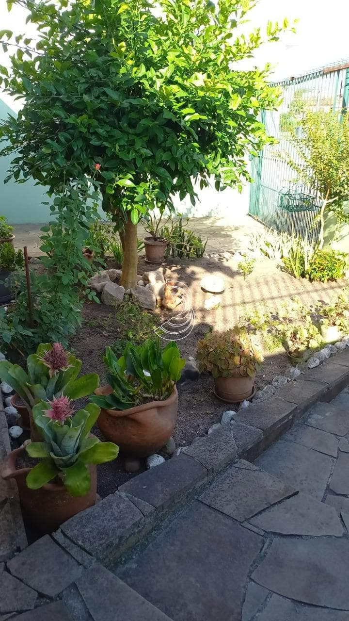 Foto do anúncio número 5