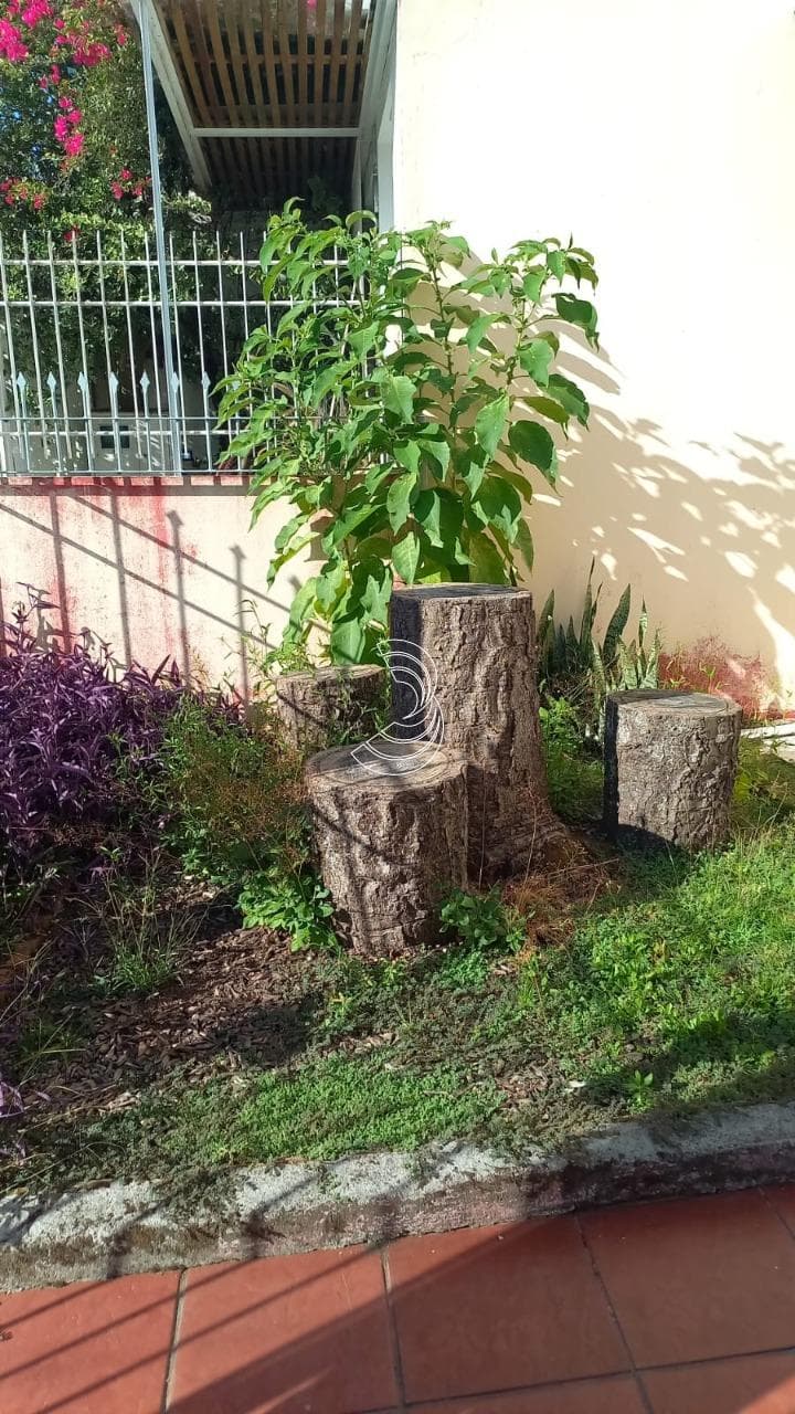Foto do anúncio número 2