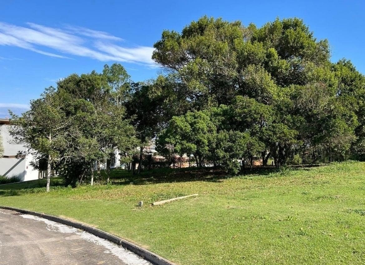 Foto do anúncio número 4