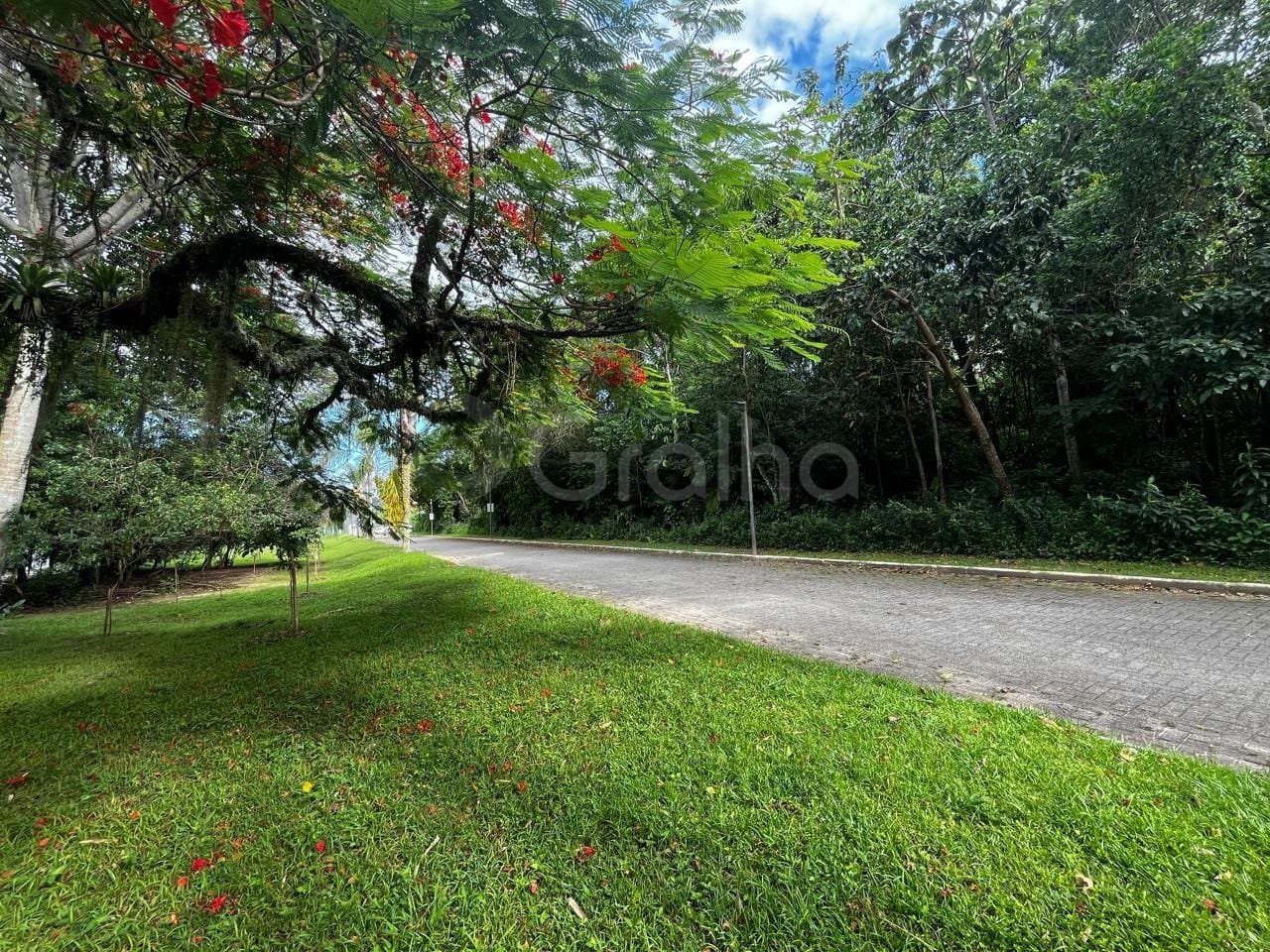 Foto do anúncio número 4
