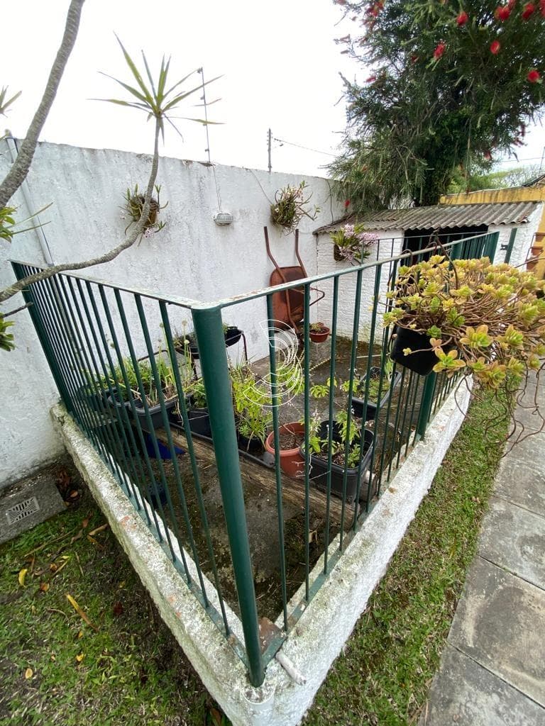Foto do anúncio número 4