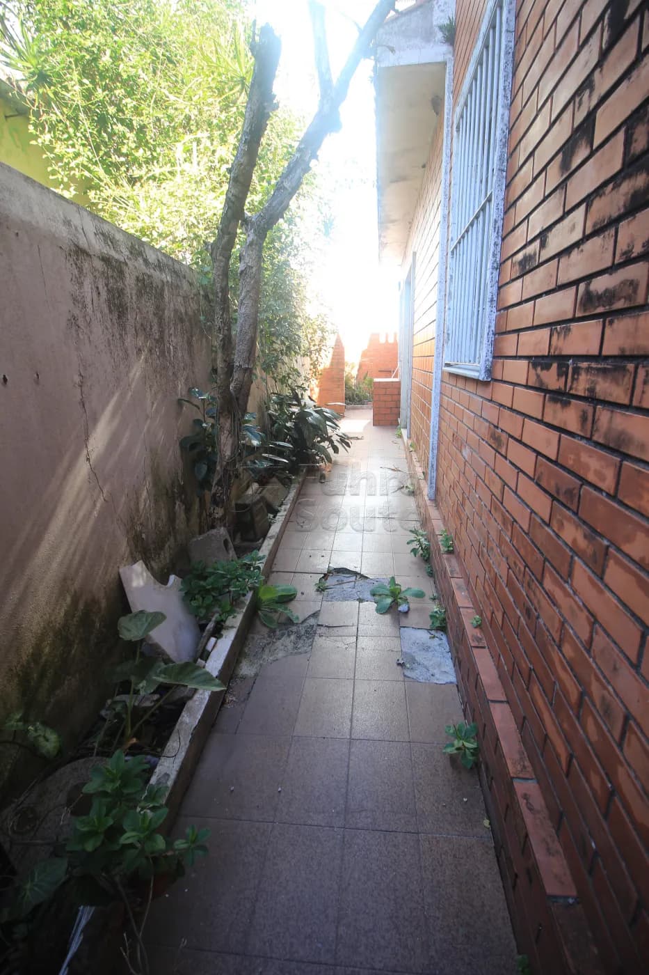 wnfqoy-pelotas-casa-padrao-centro-15-10-2025_01-09-52-10.webp