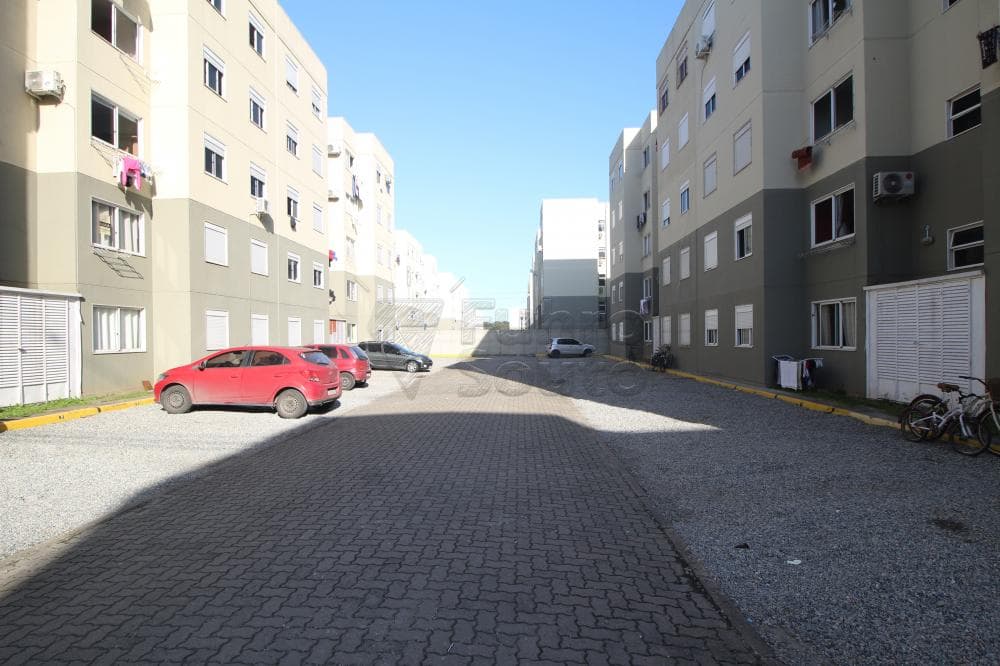 wohbj-pelotas-areal-cidade-de-guimaraes-17-09-2024_01-43-10-2.jpg