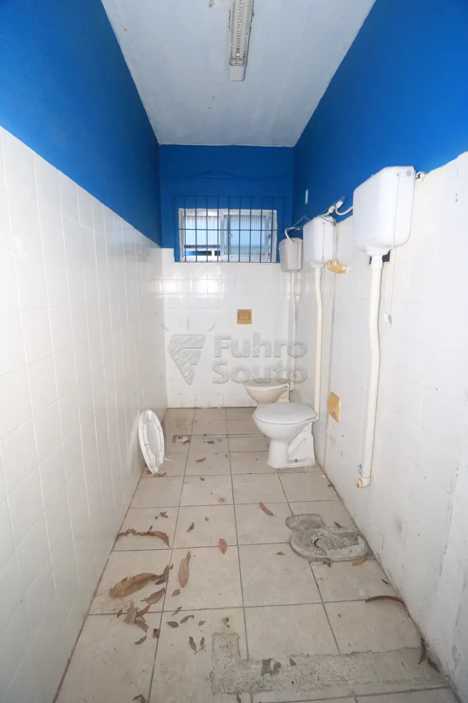 wt36mg-pelotas-comercial-casa-fragata-03-12-2025_08-05-54-14.webp