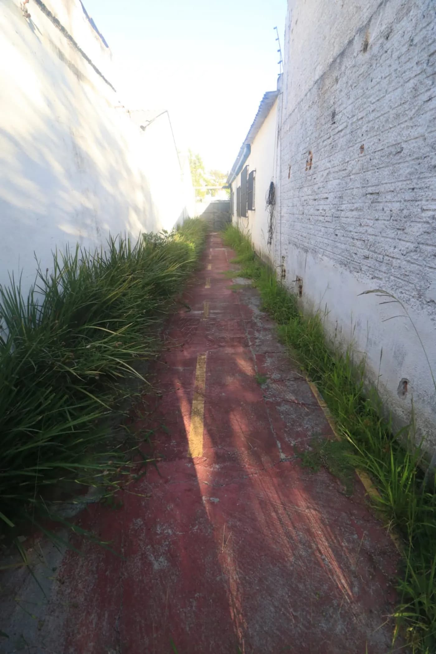 x4dvea-pelotas-casa-padrao-centro-16-03-2026_15-37-20-69b84de00febd.webp
