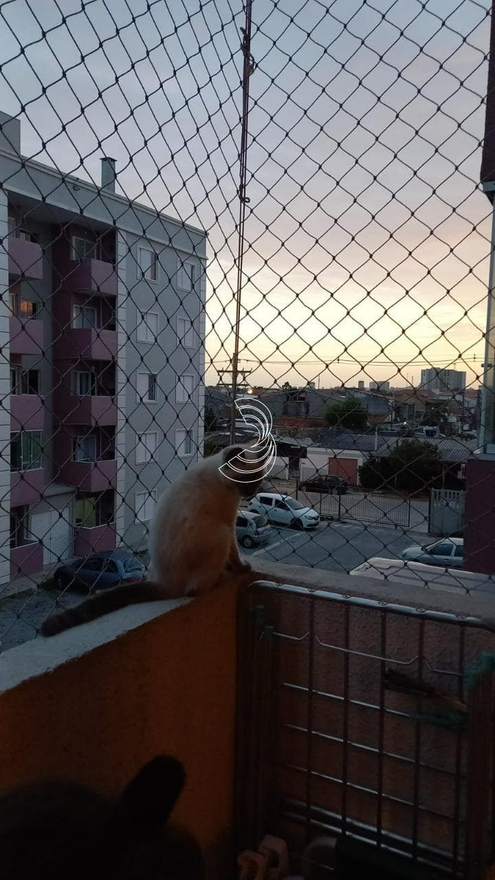 Foto do anúncio número 2