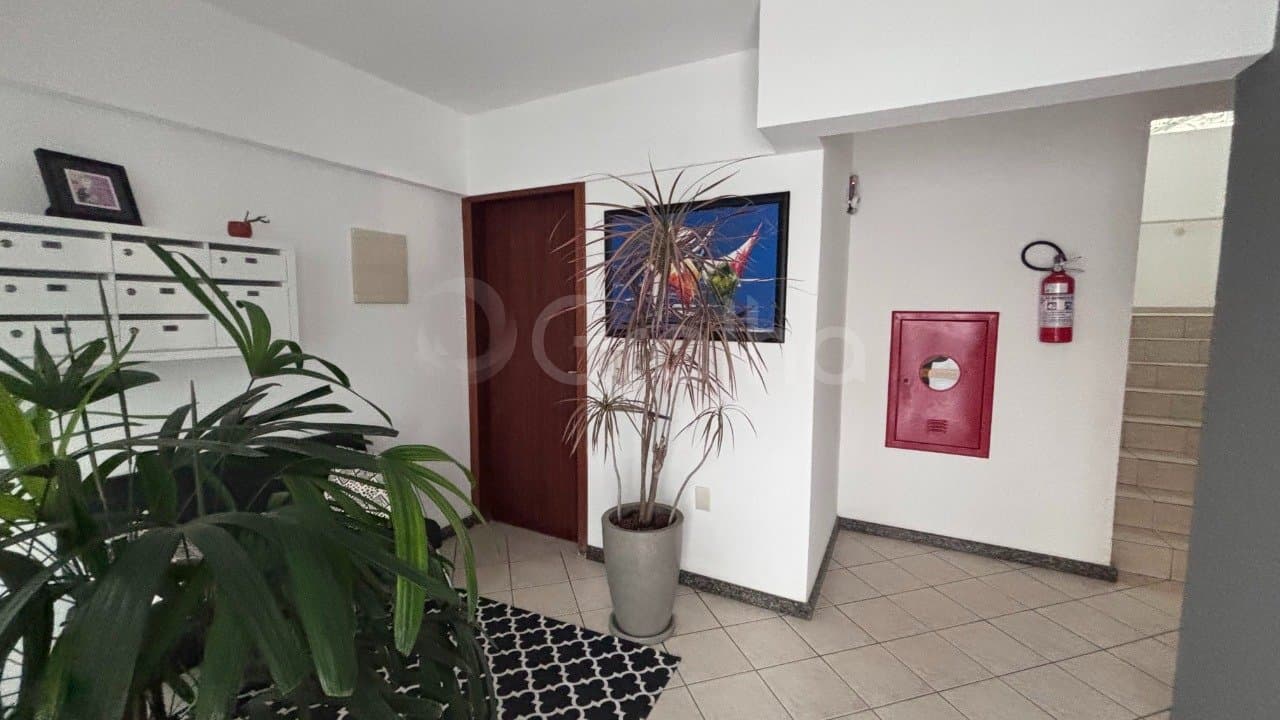xl4wk-i32wFC286K4m16_442496a5a2d05b1b68.jpg