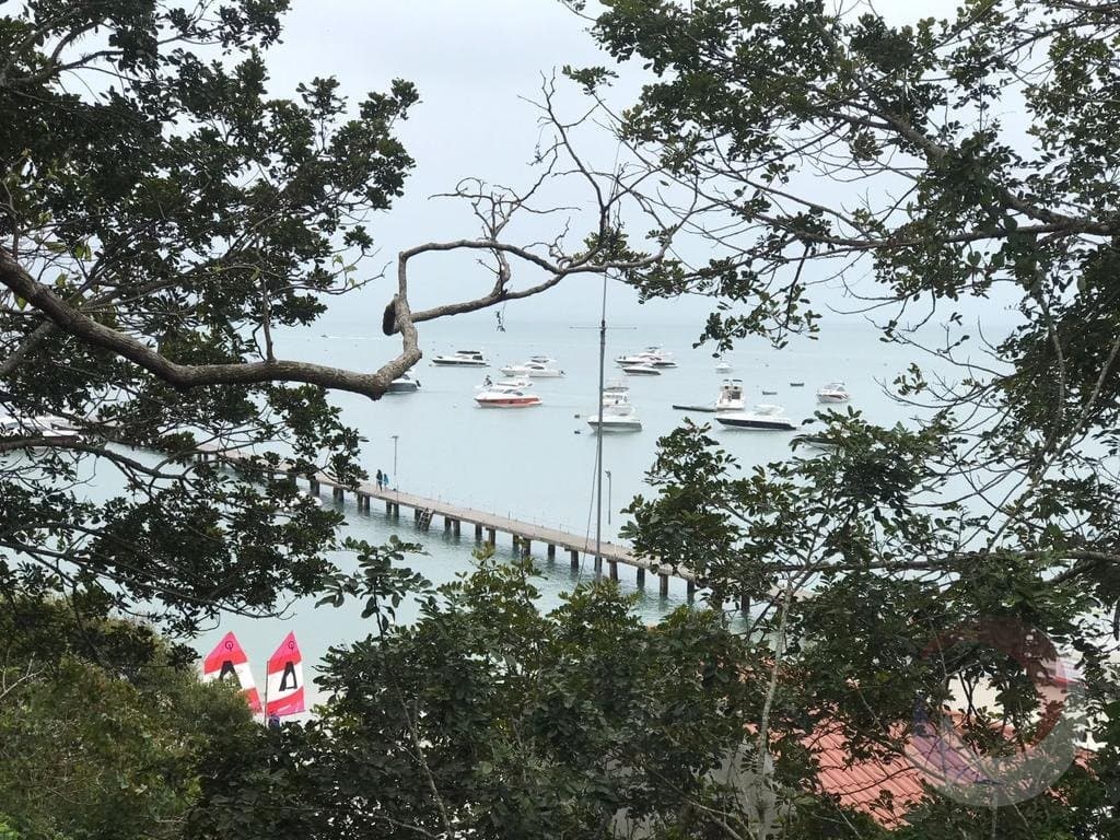 Foto do anúncio número 4