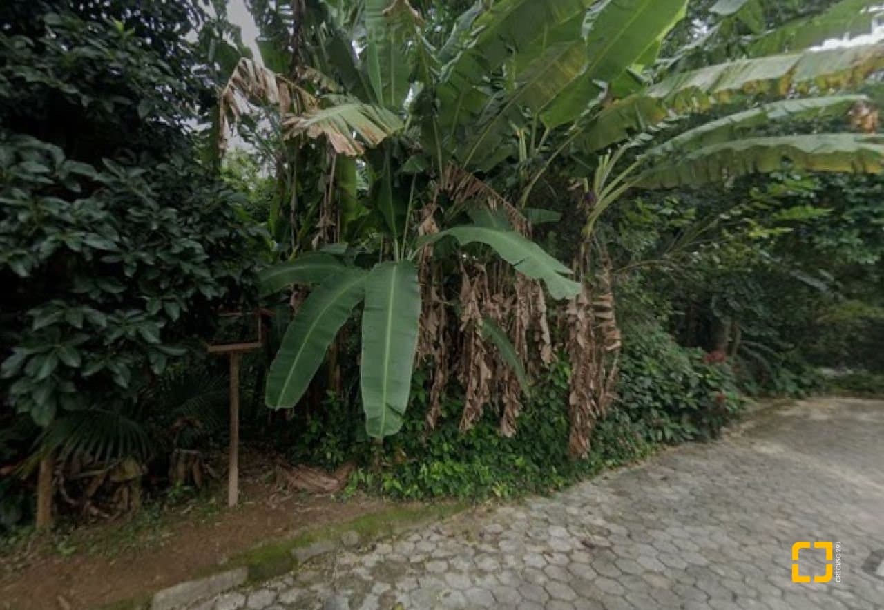 y9vjo-ibu9Y9D58_5724668e94e6cad6fa.jpg