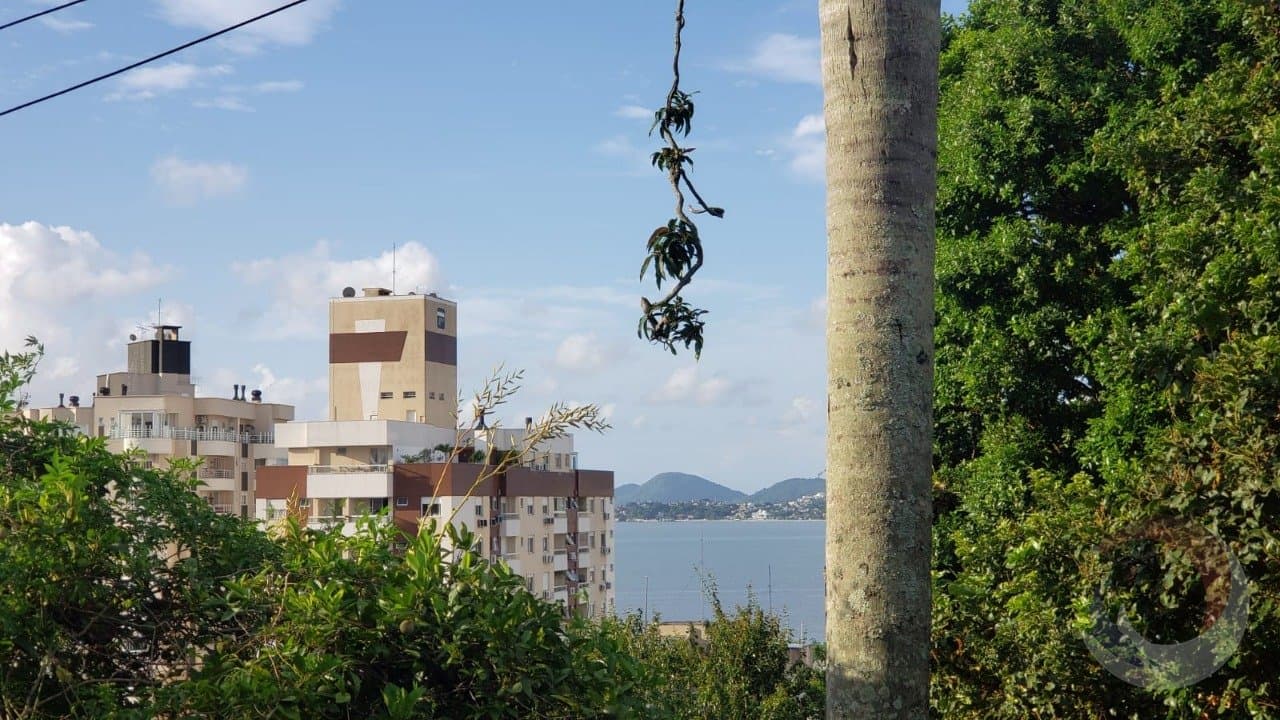 Foto do anúncio número 3