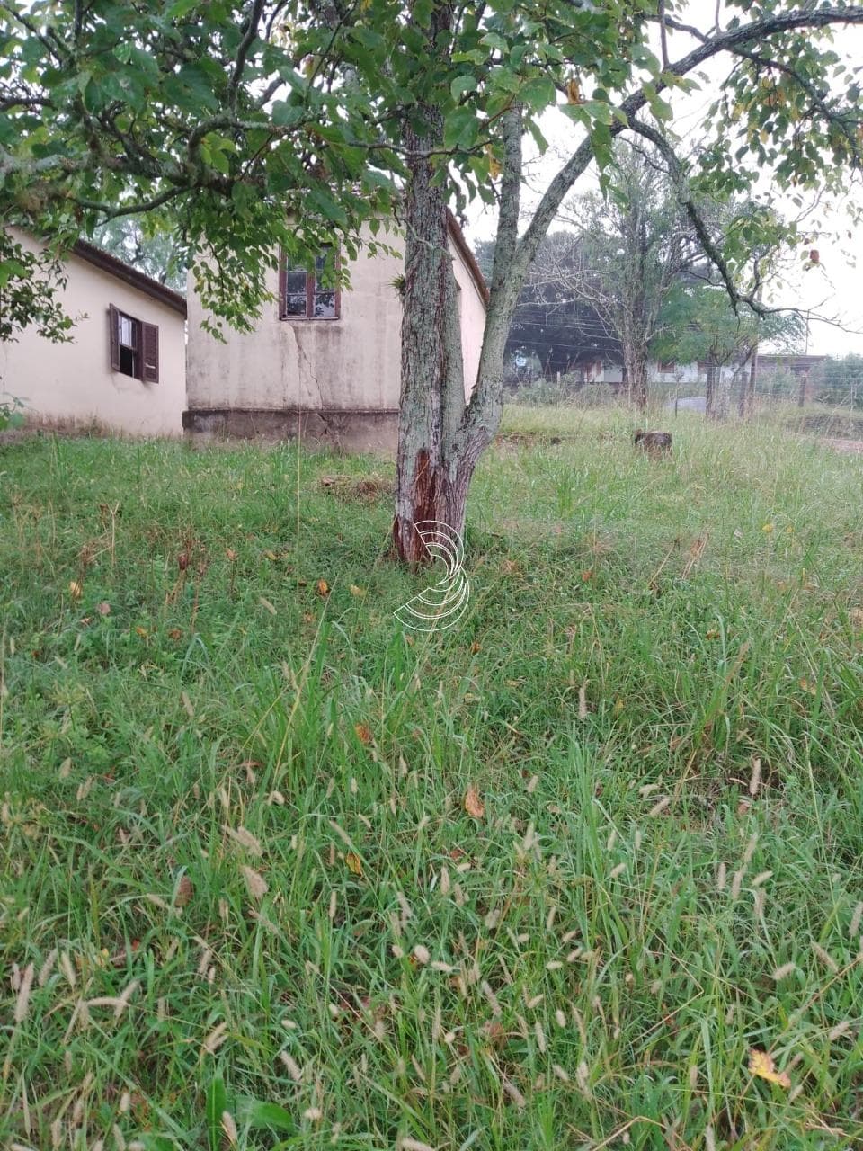 Foto principal do anúncio