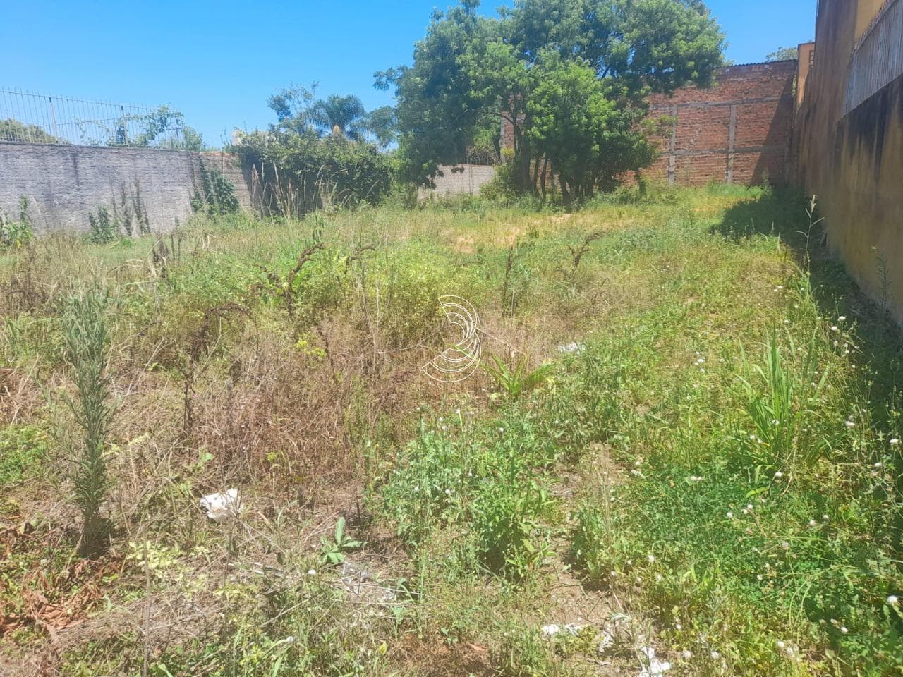 Foto principal do anúncio