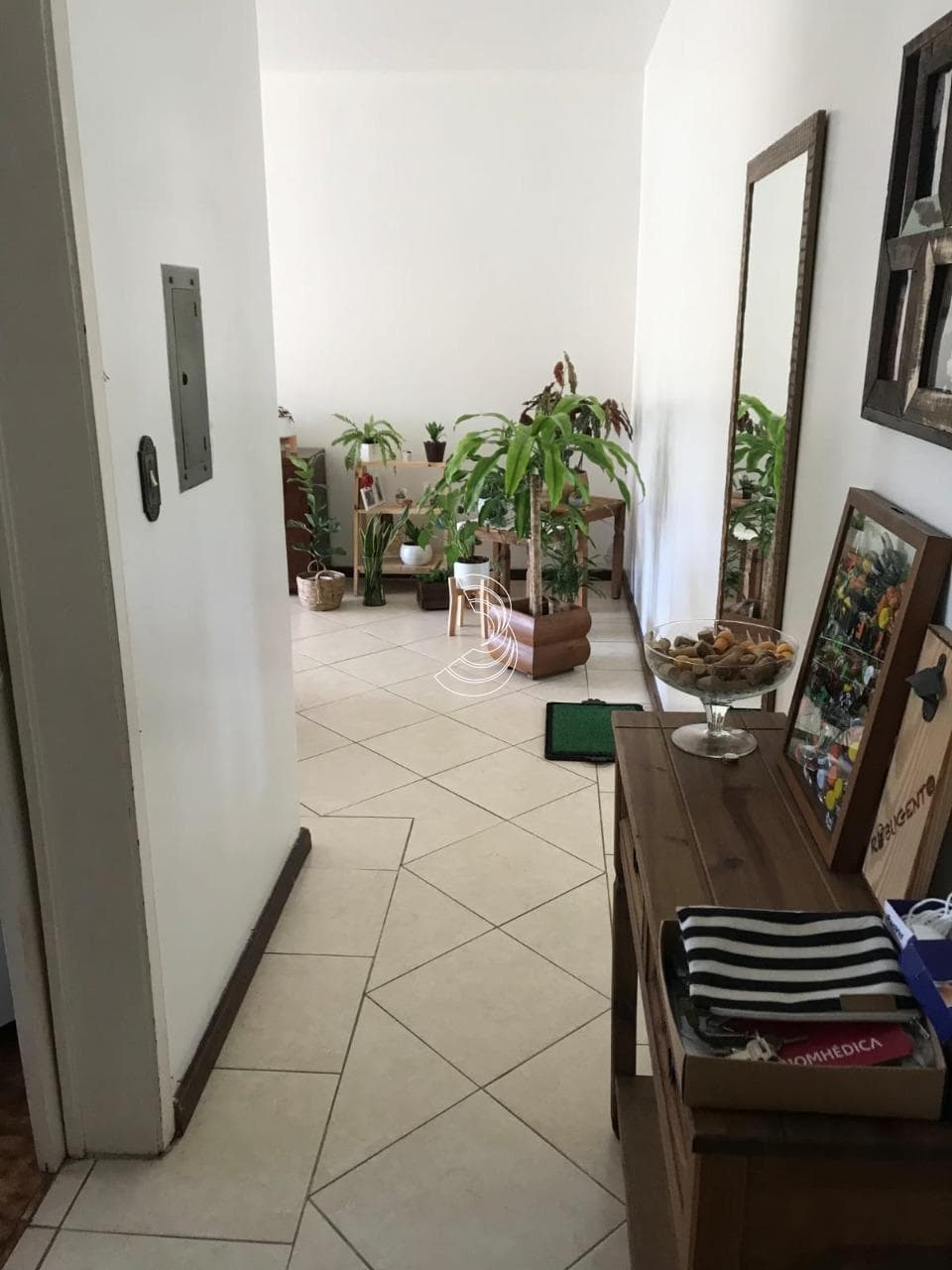 Foto do anúncio número 5