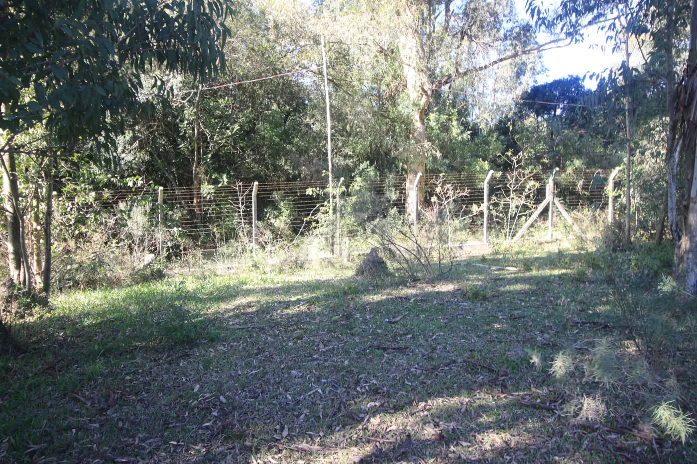zfxyzl-pelotas-terreno-padrao-fragata-10-06-2025_23-17-28-10.webp