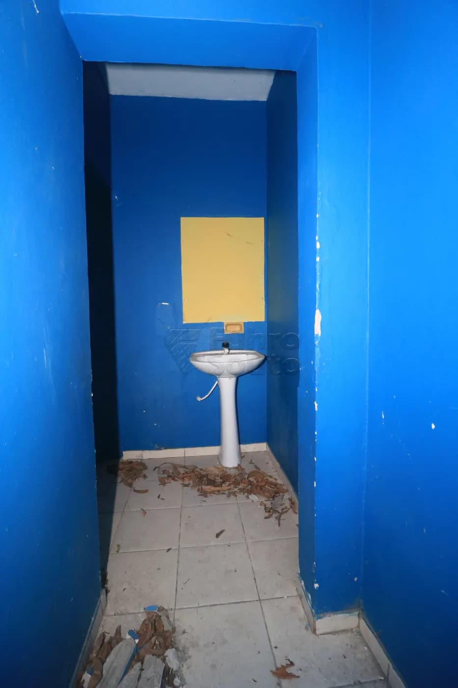 zi1vp-pelotas-comercial-casa-fragata-03-12-2025_08-05-52-13.webp