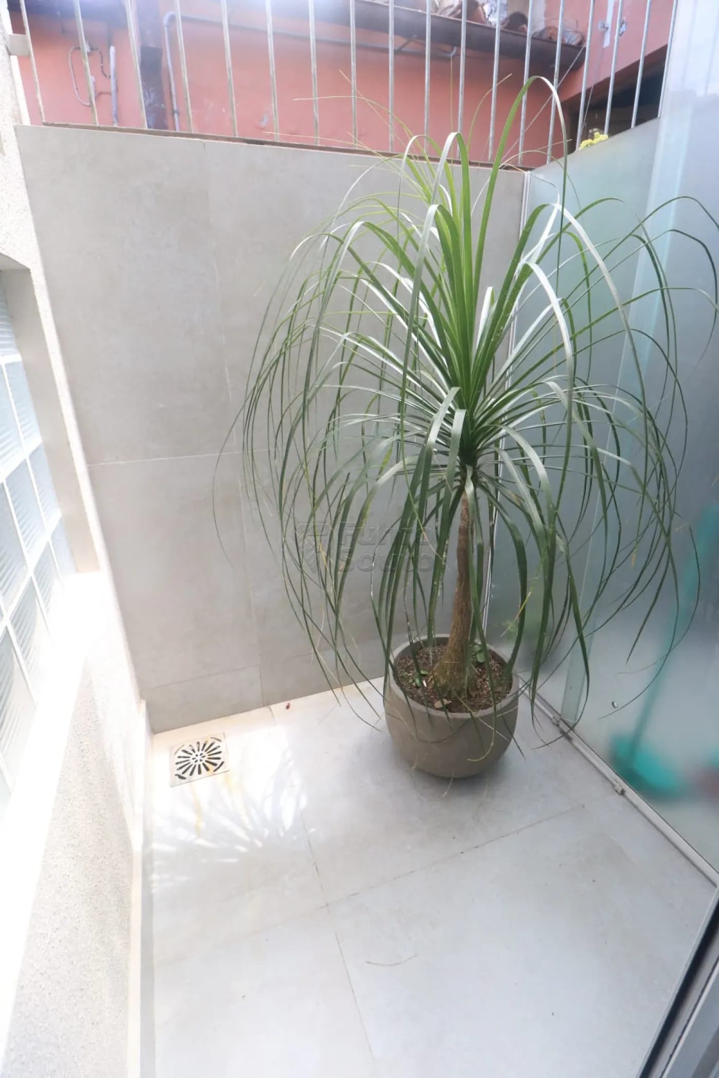 zr1wbi-pelotas-comercial-sala-fora-de-condominio-centro-04-12-2025_11-14-16-11.webp