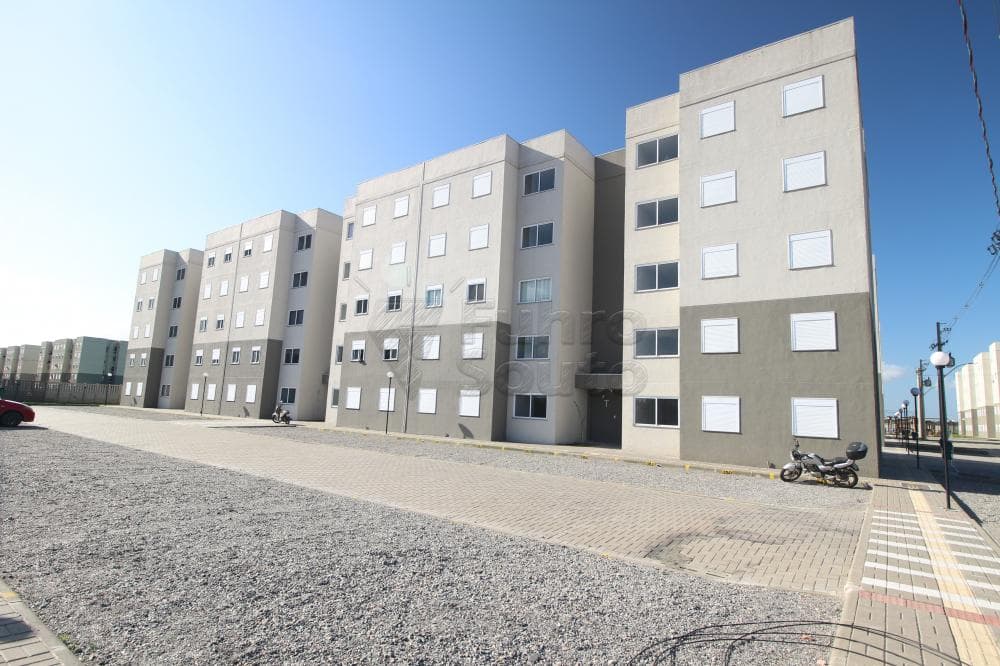 zypp1k-pelotas-areal-cidade-de-coimbra-17-09-2024_01-49-46-1.jpg