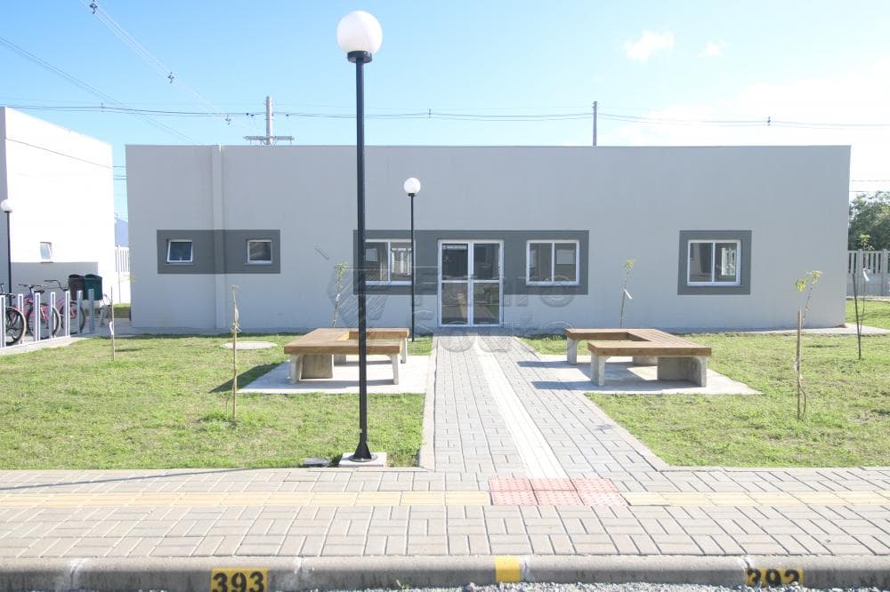 zzm3jn-pelotas-areal-cidade-de-coimbra-17-09-2024_01-50-51-0.jpg